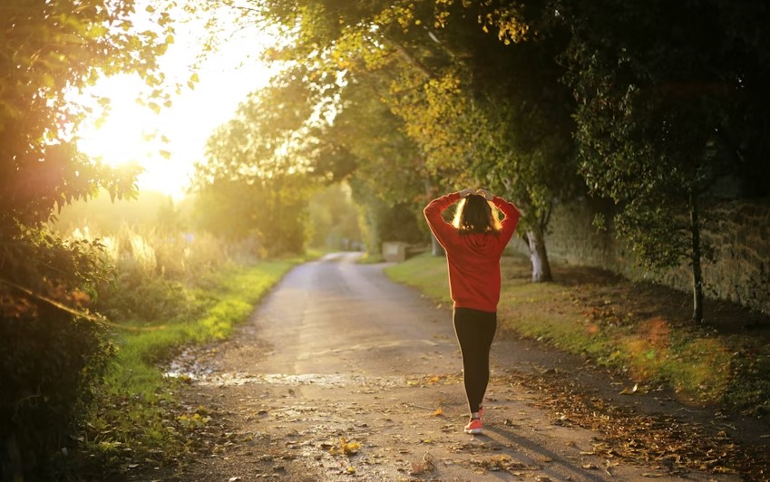 Ayurvedic Food Supplement For Overall Health.jpg